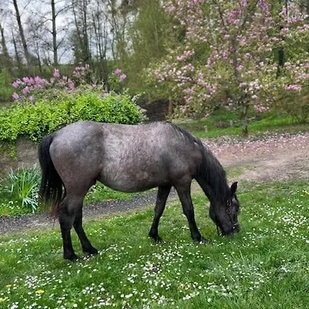 Jolie Maison Pleine De Charme Orry-La-Ville